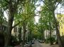 Washington DC Georgetown